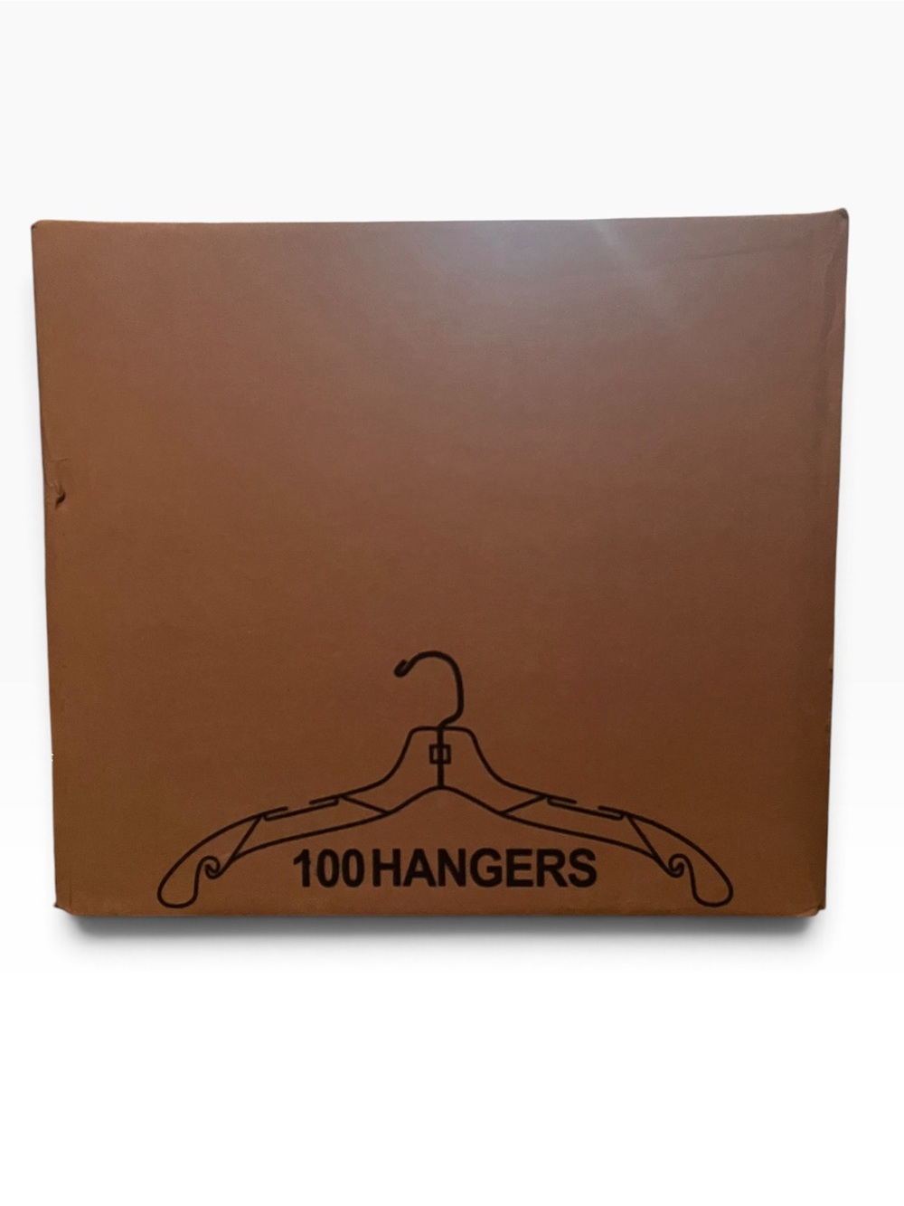 Box of 100 Swivel Hook Clear Plastic Hangers